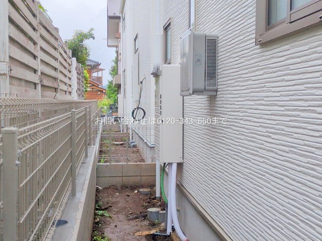 撮影日(2025-06-25 00:00:00)