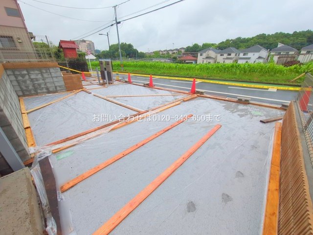 撮影日(2025-06-25 00:00:00)