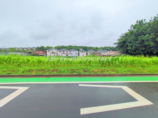 撮影日(2025-06-25 00:00:00)