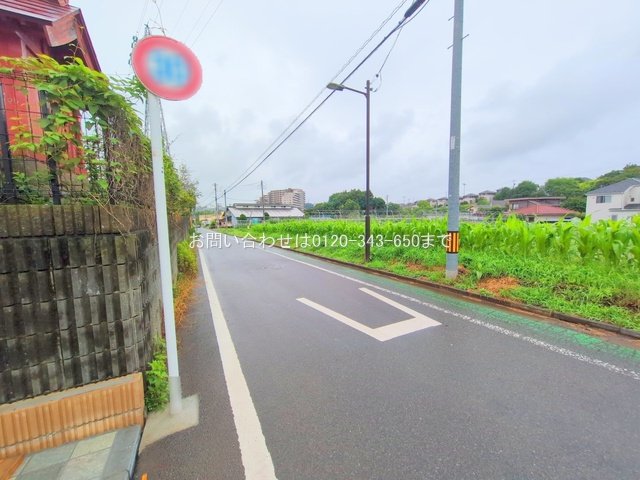 撮影日(2025-06-25 00:00:00)
