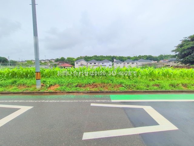 撮影日(2025-06-25 00:00:00)