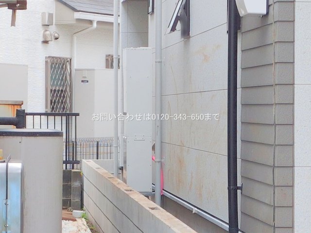 撮影日(2025-06-24 00:00:00)