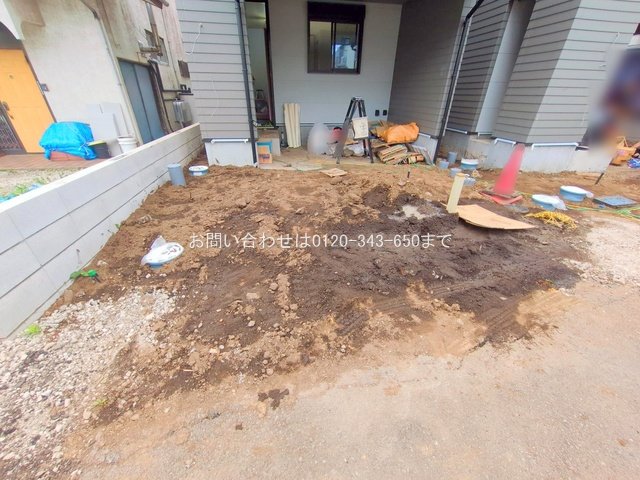 撮影日(2025-06-24 00:00:00)