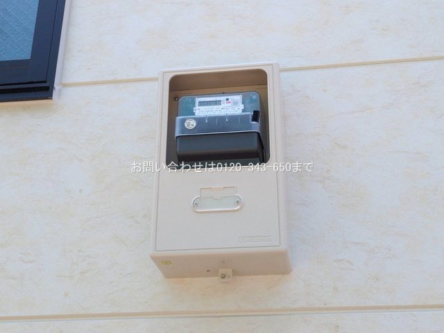 撮影日(2025-06-19 00:00:00)