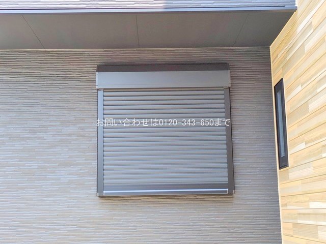 撮影日(2025-06-19 00:00:00)