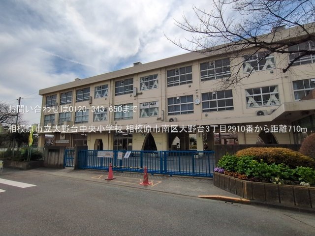 相模原市立大野台中央小学校 撮影日(2025-03-18) 710m