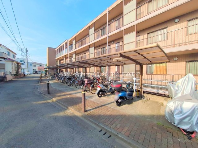 撮影日(2025-06-20 00:00:00)