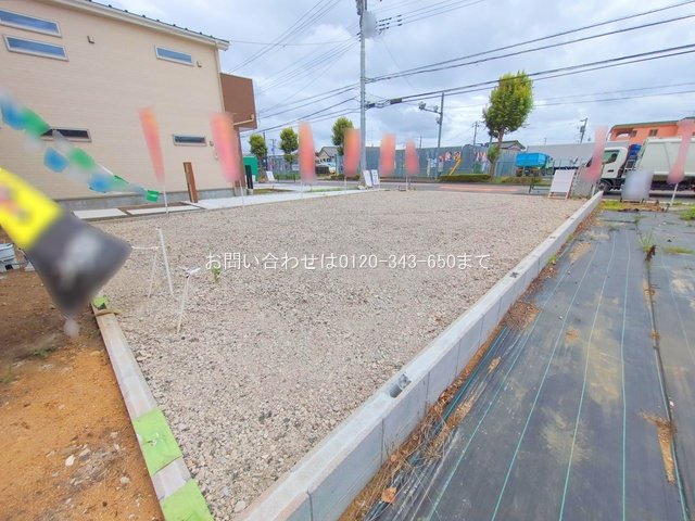 撮影日(2025-06-24 00:00:00)