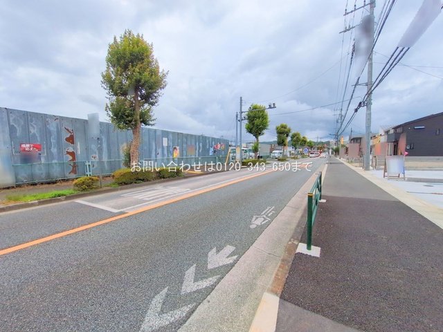 撮影日(2025-06-24 00:00:00)