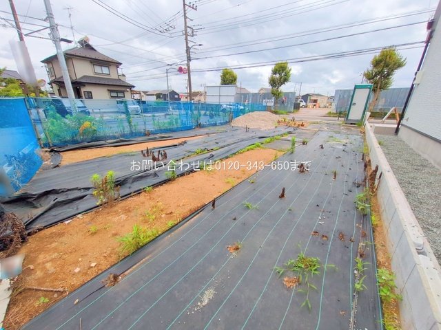 撮影日(2025-06-24 00:00:00)