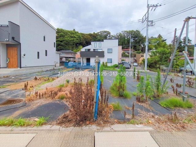 撮影日(2025-06-24 00:00:00)