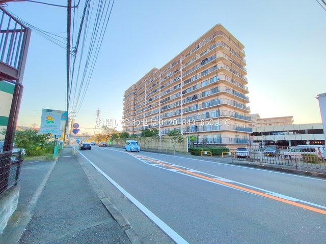 撮影日(2024-11-12 00:00:00)
