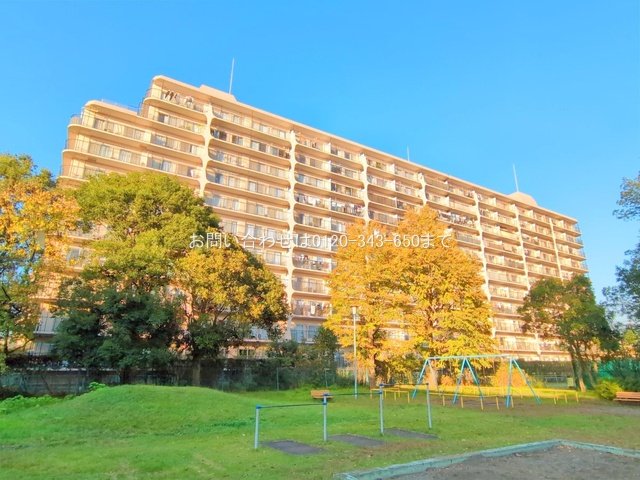 撮影日(2024-11-12 00:00:00)