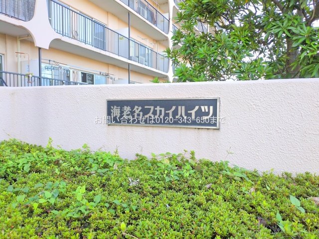 撮影日(2024-11-12 00:00:00)