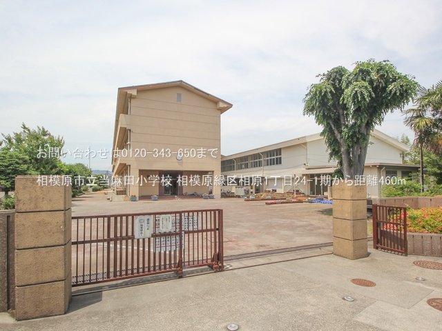 相模原市立当麻田小学校 撮影日(2024-05-21) 460m