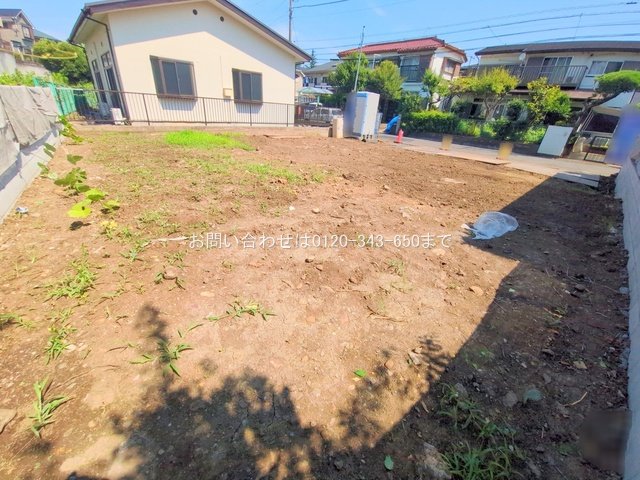 撮影日(2025-06-30 00:00:00)