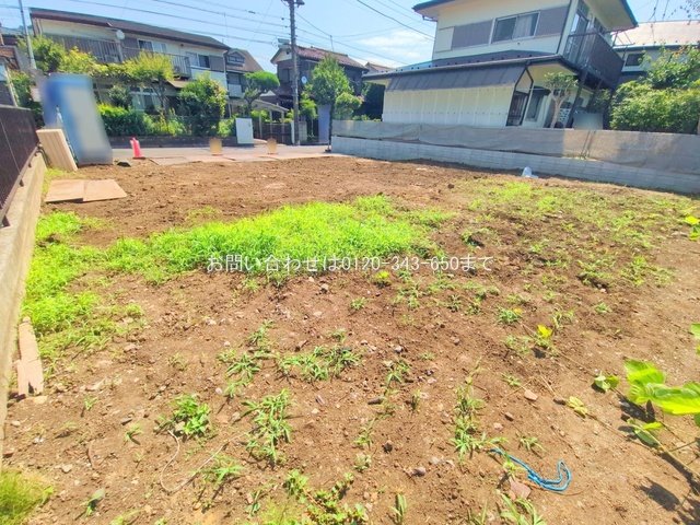 撮影日(2025-06-30 00:00:00)