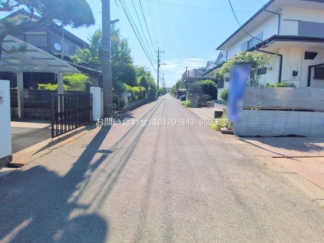 撮影日(2025-06-30 00:00:00)
