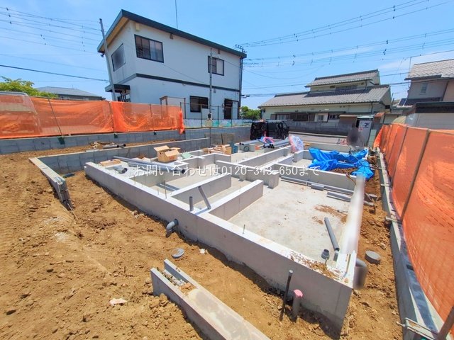 撮影日(2025-06-30 00:00:00)