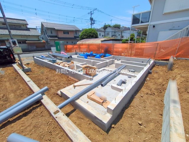 撮影日(2025-06-30 00:00:00)