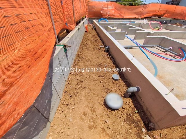 撮影日(2025-06-30 00:00:00)