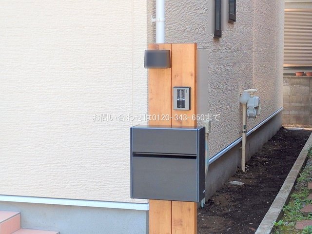 撮影日(2025-06-30 00:00:00)