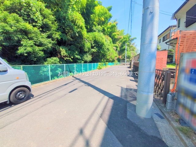 撮影日(2025-06-30 00:00:00)