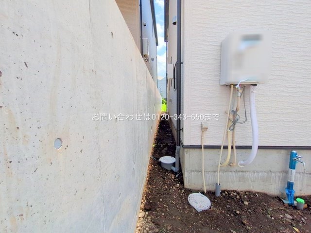 撮影日(2025-06-27 00:00:00)
