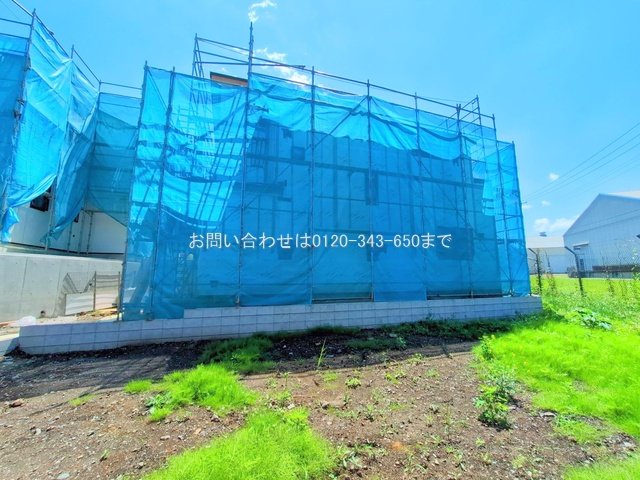 撮影日(2025-06-05 00:00:00)