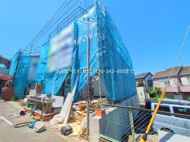 撮影日(2025-06-05 00:00:00)