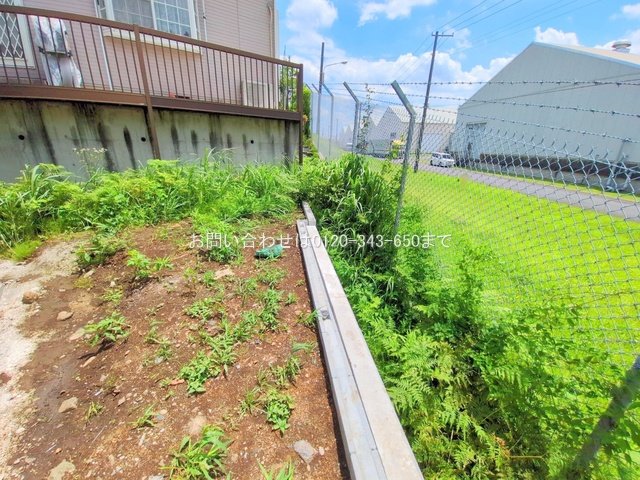 撮影日(2025-06-27 00:00:00)