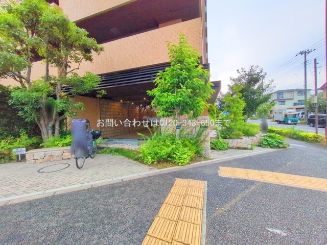 撮影日(2025-07-01 00:00:00)