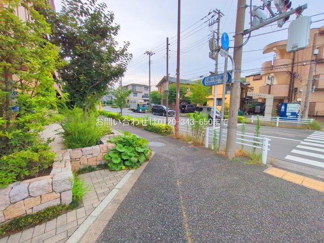 撮影日(2025-07-01 00:00:00)