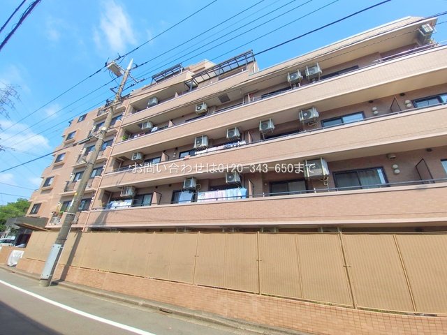 撮影日(2025-07-01 00:00:00)