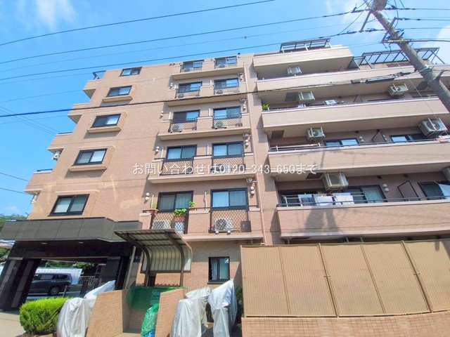 撮影日(2025-07-01 00:00:00)