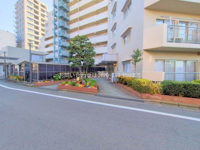 撮影日(2025-03-21 00:00:00)