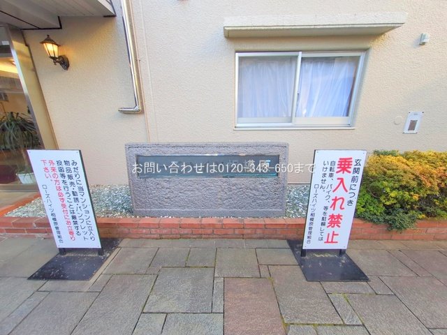 撮影日(2025-03-21 00:00:00)