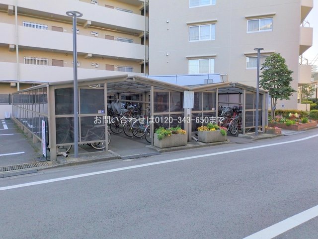 撮影日(2025-03-21 00:00:00)