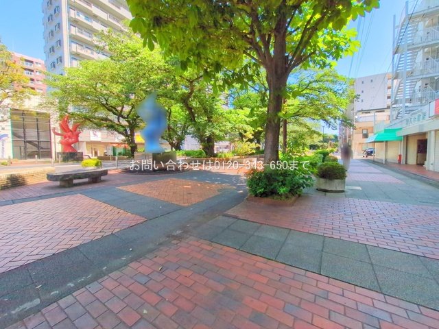 撮影日(2025-06-05 00:00:00)