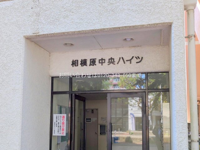 撮影日(2025-06-05 00:00:00)