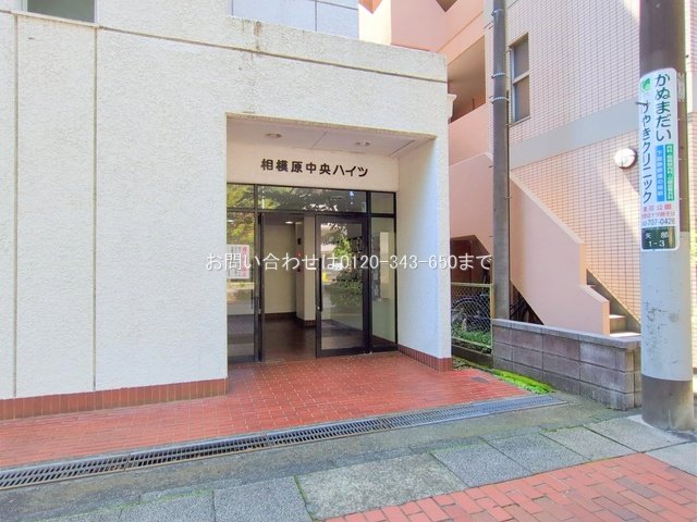 撮影日(2025-06-05 00:00:00)