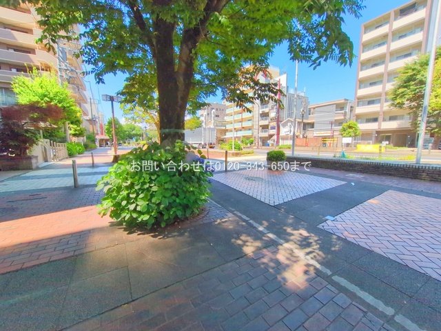 撮影日(2025-06-05 00:00:00)