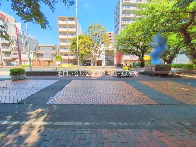 撮影日(2025-06-05 00:00:00)