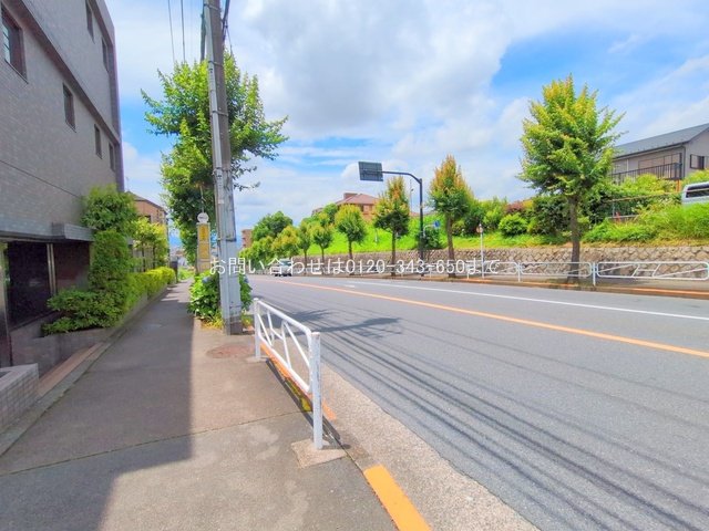 撮影日(2025-06-26 00:00:00)