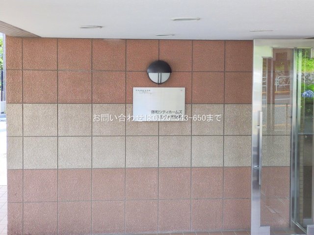 撮影日(2025-06-26 00:00:00)