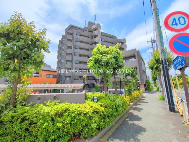撮影日(2025-06-26 00:00:00)