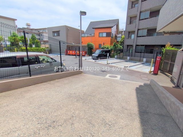 撮影日(2025-06-26 00:00:00)