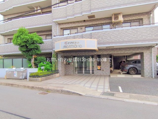 撮影日(2025-07-01 00:00:00)