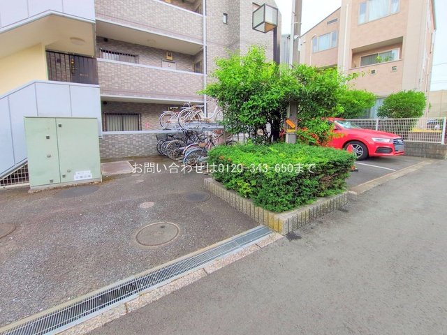 撮影日(2025-07-01 00:00:00)