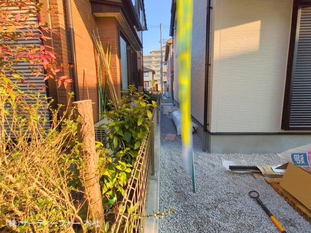 撮影日(2025-01-24 00:00:00)
